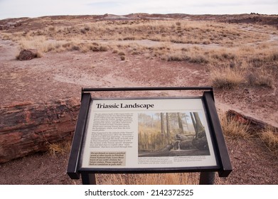 PETRIFIED FOREST, ARIZONA - DECEMBER 18, 2013: Information Sign For The Triassic Landscape, Some 200 Million Years Ago, On Crystal Forest Trail, Inside Petrified Forest National Park.