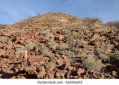 Petrified Forest, Damaraland, Namibia