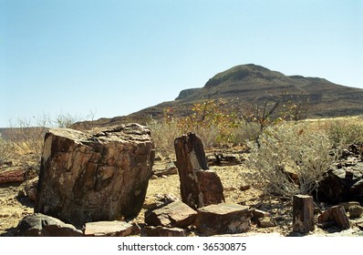 Petrified Forest, Namibia