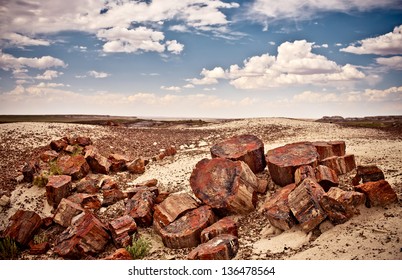 Petrified Forest National Park, USA