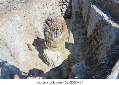  Petrified Forest On Lesbos 