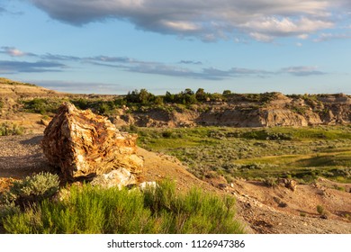 The Petrified Forest Trail at Theodore Roosevelt National Park,  - Shutterstock ID 1126947386