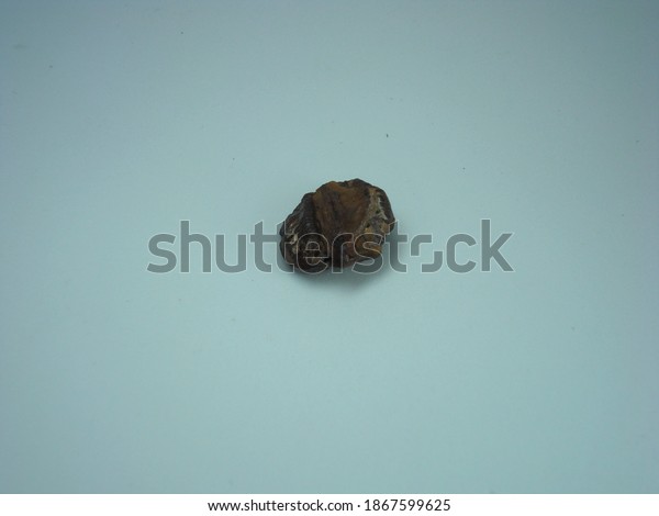 38 Petrified Fruit Images, Stock Photos & Vectors | Shutterstock