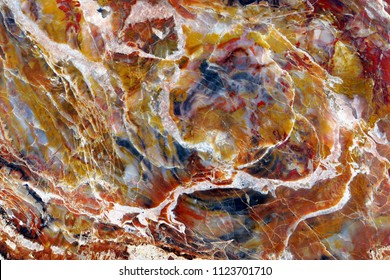 Petrified Wood. Abstract Color Marvel Of Nature.