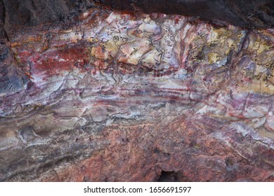 Petrified Wood Abstract With Colors