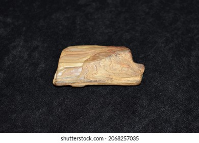 Petrified wood clearly showing the grain isolated on a black velvet background.
