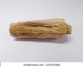Petrified wood is a fossil of a plant. The wood is buried under the surface of the soil in a lack of oxygen, the wood does not decay.