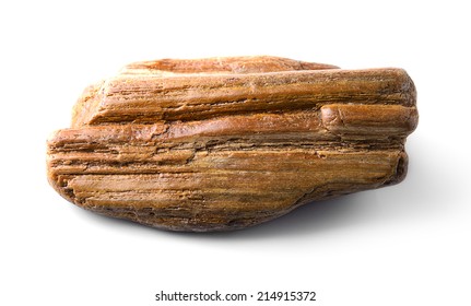 petrified wood, isolated on white background