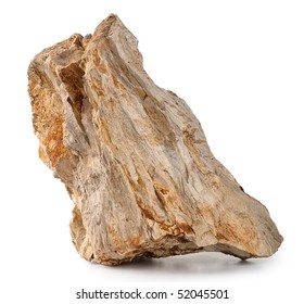 Petrified Wood isolated in white background