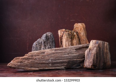 Petrified Wood  put on table in dark background