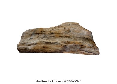Petrified Wood rock stone isolated on white background.