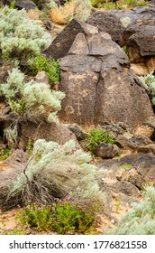 Petroglyph National Monument In Albuquerque