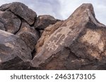 Petroglyph National Monument in Albuquerque, New Mexico along West Mesa, a volcanic basalt escarpment. Petroglyph images carved by Ancestral Pueblo people and early Spanish settlers. Boca Negra Canyon