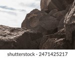 Petroglyph National Monument in Albuquerque, New Mexico along West Mesa, a volcanic basalt escarpment. Petroglyph images carved by Ancestral Pueblo people and early Spanish settlers. Boca Negra Canyon