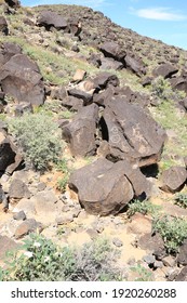 Petroglyph National Monument Near Albuquerque In New Mexico, USA