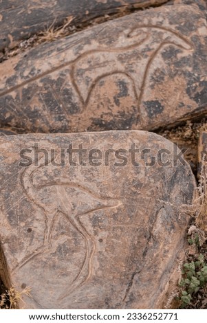Petroglyph of an ostrich, Aït Ouazik rock site, late Neolithic, Morocco, Africa