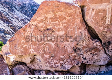 Petroglyphs of the archaeological site of Yerbas Buenas, Rio Grande, San Pedro de Atacama, Antofagasta Region, Chile