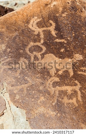 petroglyphs in the  ladakh mountains