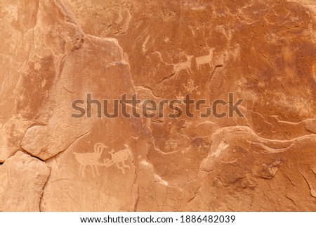 Petroglyphs on the Poison Spider Trailhead in Moab, Utah. 