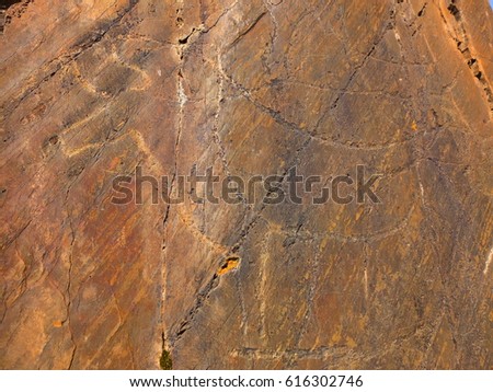 Petroglyphs from Paleolithic period, Canada do Inferno, Coa Valley, Portugal