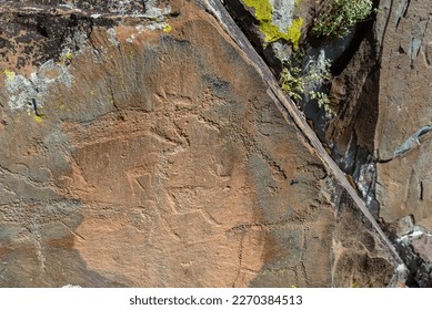 Petroglyphs rock drawings ancient people animal cows   deer stones in the Altai mountains in Siberia during the day 