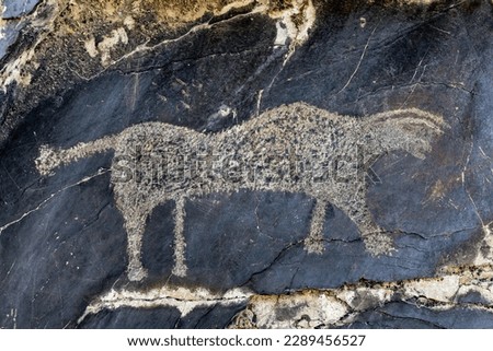 Petroglyphs wild animals. Rock paintings. Cave art pattern made of ancient hunters. Hunting scenes. Palaeolithic stones with petroglyphs. Petroglyphs carved in rocks and stones. Uzbekistan, Sarmishsay