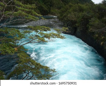 Petrohue River At National Park Vicent Pérez Rosales