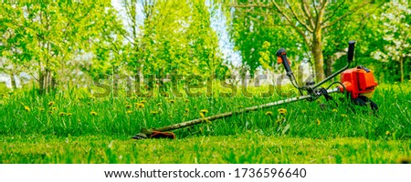 Petrol trimmer on the green lawn in the garden