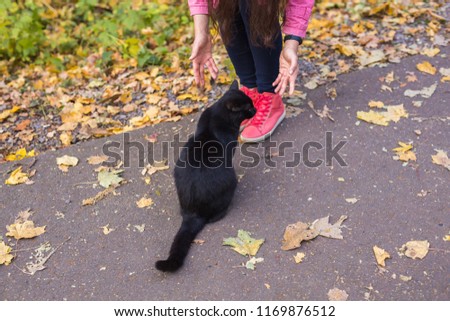 Pets, autumn and people concept - Close up of woman found the black cat