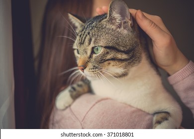 Pets Care.Young Woman Holding Cat Home.Cute Cat Watching And Looking On Woman's Arm In Home.Friendship.Love