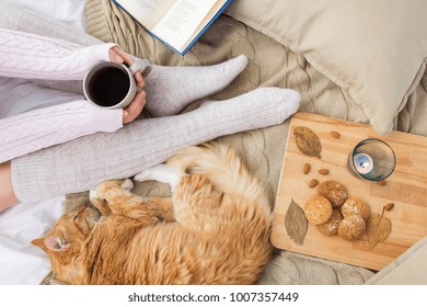 Pets, Hygge And People Concept - Woman With Coffee, Book, Cookies And Red Tabby Cat Sleeping On Blanket At Home In Autumn