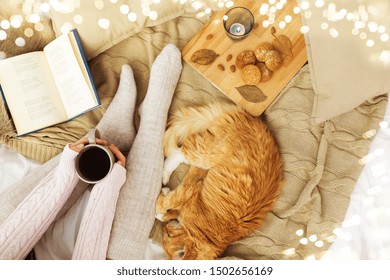 Pets, Hygge And People Concept - Woman With Coffee, Book, Cookies And Red Tabby Cat Sleeping On Blanket At Home In Autumn