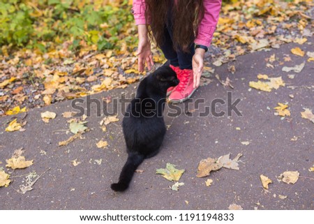 Pets, nature and people concept - Close up of woman found the black cat
