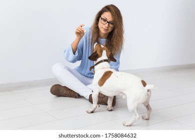 Pets Owner Concept - Attractive Cheerful Female In Blue Sweater Playing With Her Favourite Pet. Happy Woman With Her Jack Russell Terrier