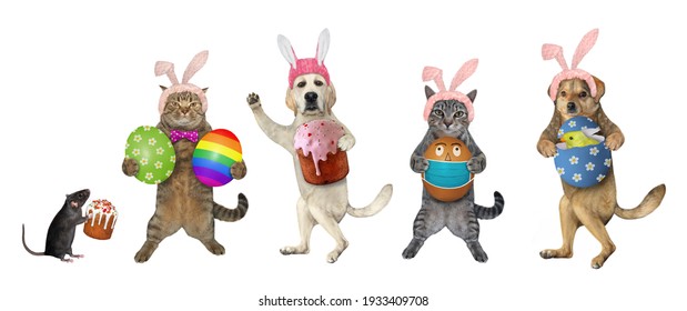 Pets in pink easter bunny hats are holding easter cakes and eggs. White background. Isolated. - Shutterstock ID 1933409708