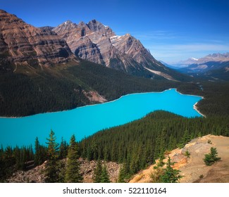 Peyto Lake, Banff Canada