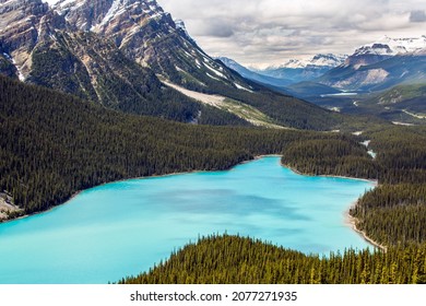 Peyto Lake is a glacier-fed lake in Banff National Park in the Canadian Rockies. The lake itself is near the Icefields Parkway. It was named for Bill Peyto, an early trail guide and trapper