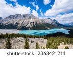 Peyto Lake near Banff, in Alberta, Canada.