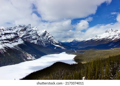 Peyto Lake In Spring, Bow Valley Lookout, Canadian Rockies