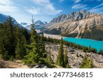 Peyto Lake in summer time. Banff National Park, Canadian Rockies, Alberta, Canada.