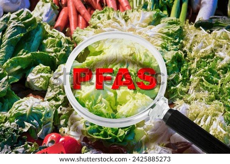 PFAS, PFOS, PFOA PFNA e PFHxS dangerous synthetic substances - Fruit and vegetable contamination alert