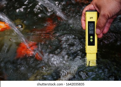 PH checking solution in aquarium tank for healthy goldfish, selective focus and free space for text. Close up of PH digital meter checking water in tank.