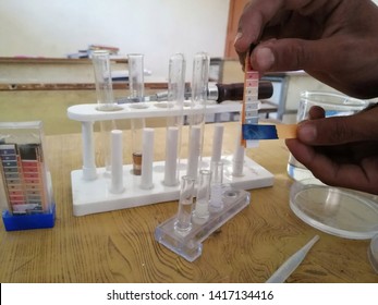 PH PAPER  INDICATOR Comparing Color And Indicates Base Solution On Chemistry Laboratory By Student Hand