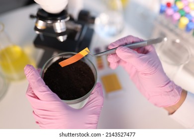 PH Test Strip And Soil Study In Laboratory Closeup