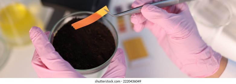 PH Test Strip And Soil Study In Laboratory Closeup