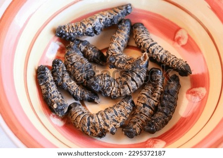 PHANE WORM Mophane worms or phane in Setswana are the caterpillar of Gonimbrasia Belina. Mopane worms are consumed as a local delicacy and important source of protein.