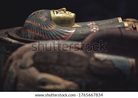 Pharaoh sarcophagus on black background ストックフォト © 