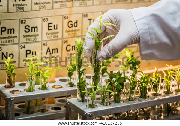 Pharmaceutical\
laboratory testing of pesticides on\
plants