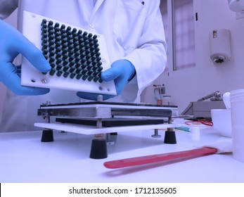 Pharmacist preparing capsules in a pharmacy laboratory