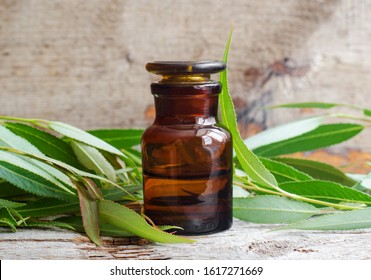 Pharmacy Bottle With Willow Bark Extract (tincture, Infusion). Willow Leaves Close Up. Old Wooden Background. Aromatherapy, Spa And Herbal Medicine Concept. Copy Space. 